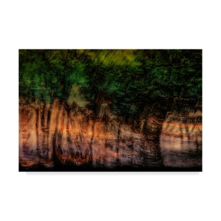Trademark Fine Art Phyllis Clarke 'Forest At Sundown' Canvas Art, 12x19 1X05730-C1219GG